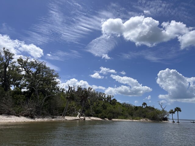 Listing image 1182345