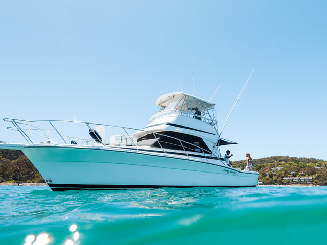Listing image 1182216