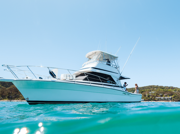 Medusa Charters