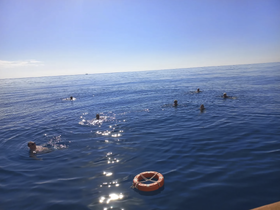 A group of swimmers enjoys a sunny day in the open ocean, creating a perfect scene for fun and relaxation on the water.