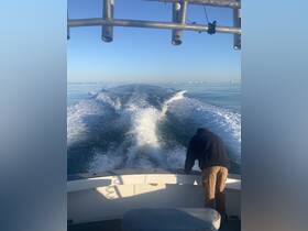 A person leans over the side of a boat, creating a wake as it moves through calm waters — a perfect moment capturing the essence of boating adventures.