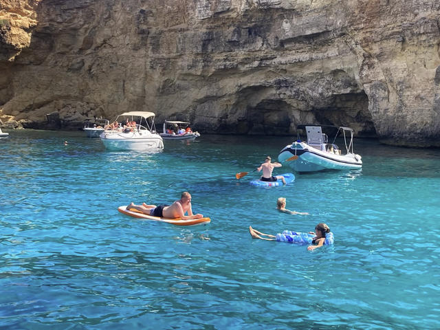Listing image 1184879