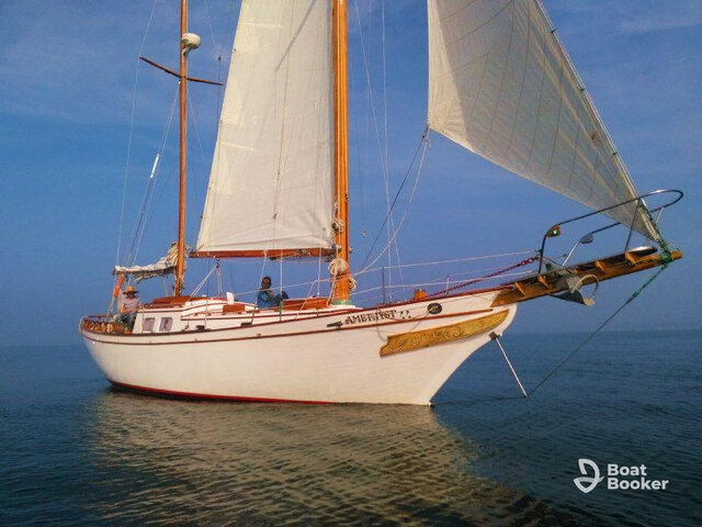 Listing image 1182870