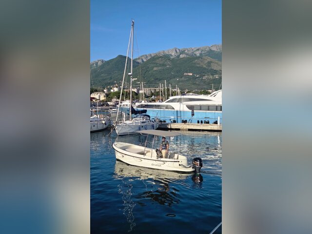 Listing image 1182545