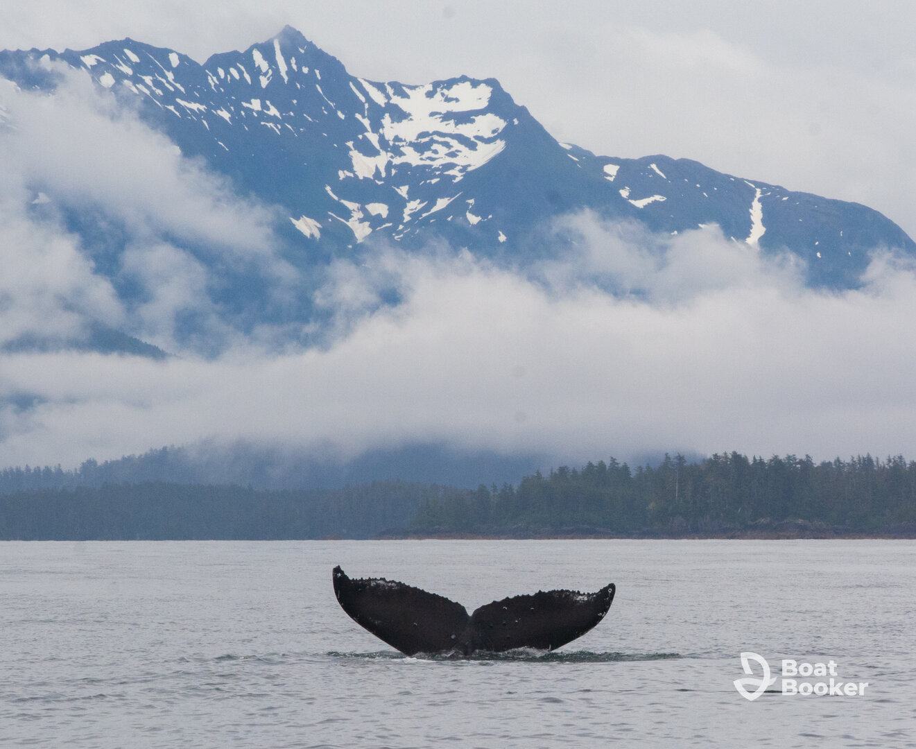 Adventure Charters Sitka