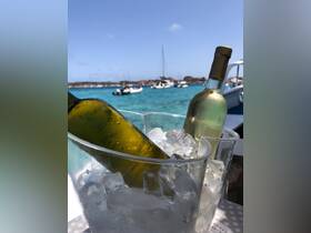 Chilled bottles of wine in an ice bucket, perfect for enjoying refreshing drinks while relaxing on the water.