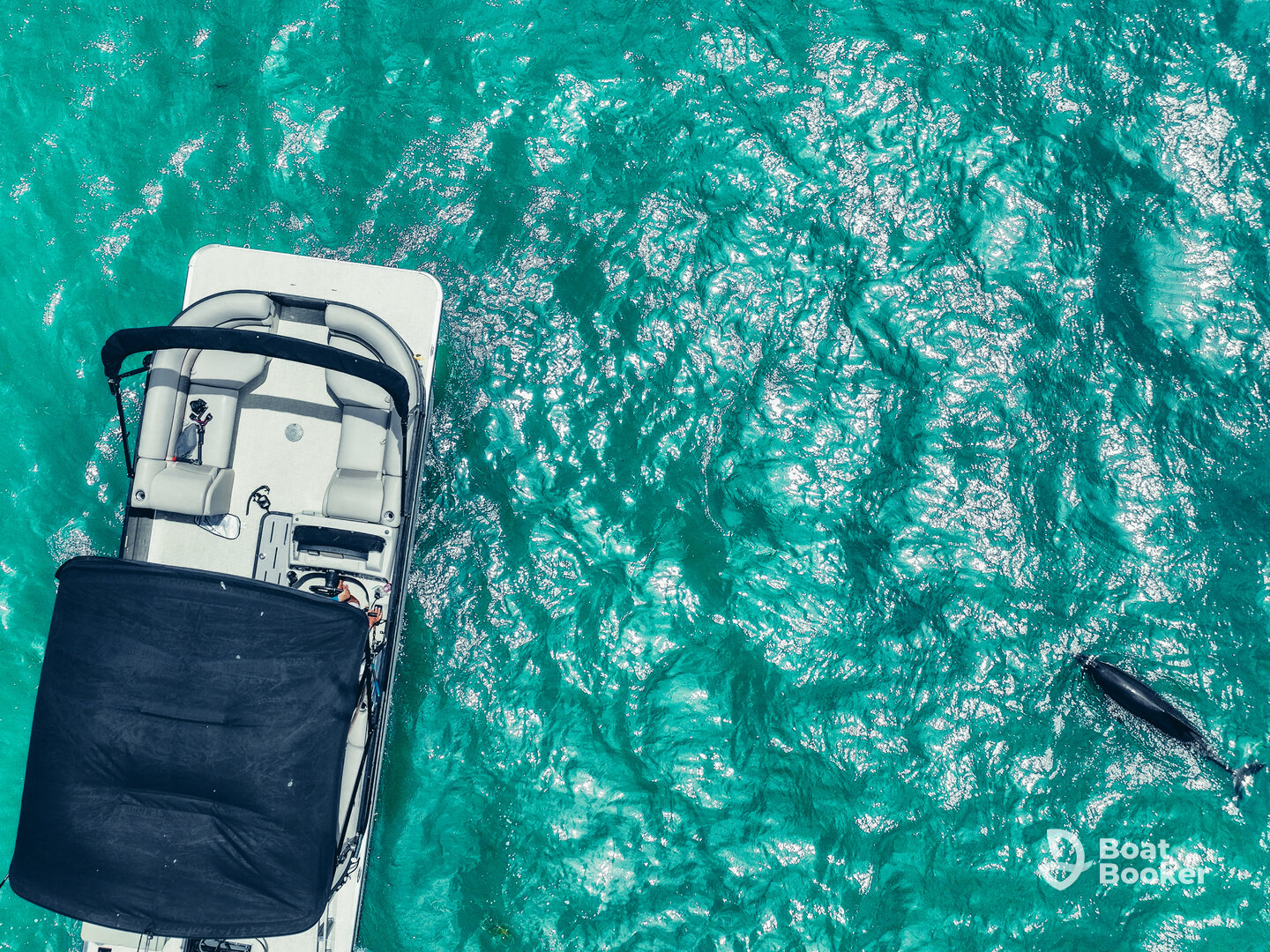 Clearwater Beach Private Pontoon Boat Tours