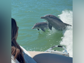 A stunning moment captured as two dolphins leap from the water, showcasing their playful nature while a person enjoys the view from a boat.