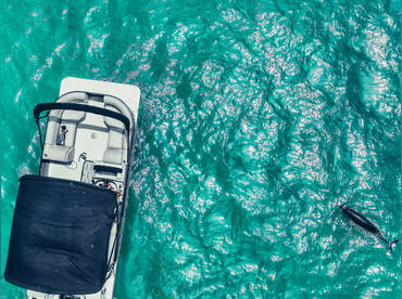 Clearwater Beach Private Pontoon Boat Tours