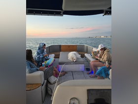 A group of friends relaxes on a boat at sunset, enjoying drinks and the company of a fluffy dog — a perfect moment for unwinding on the water.