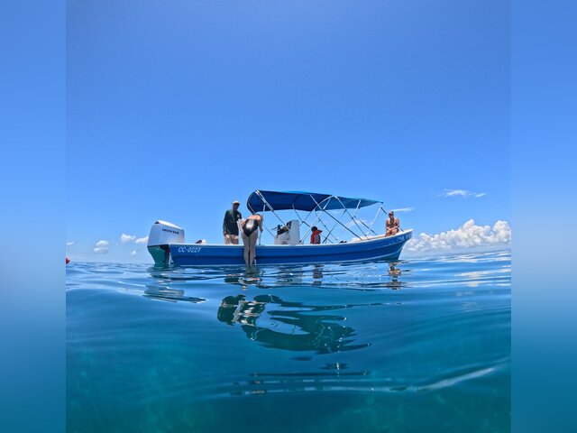 Listing image 1183350