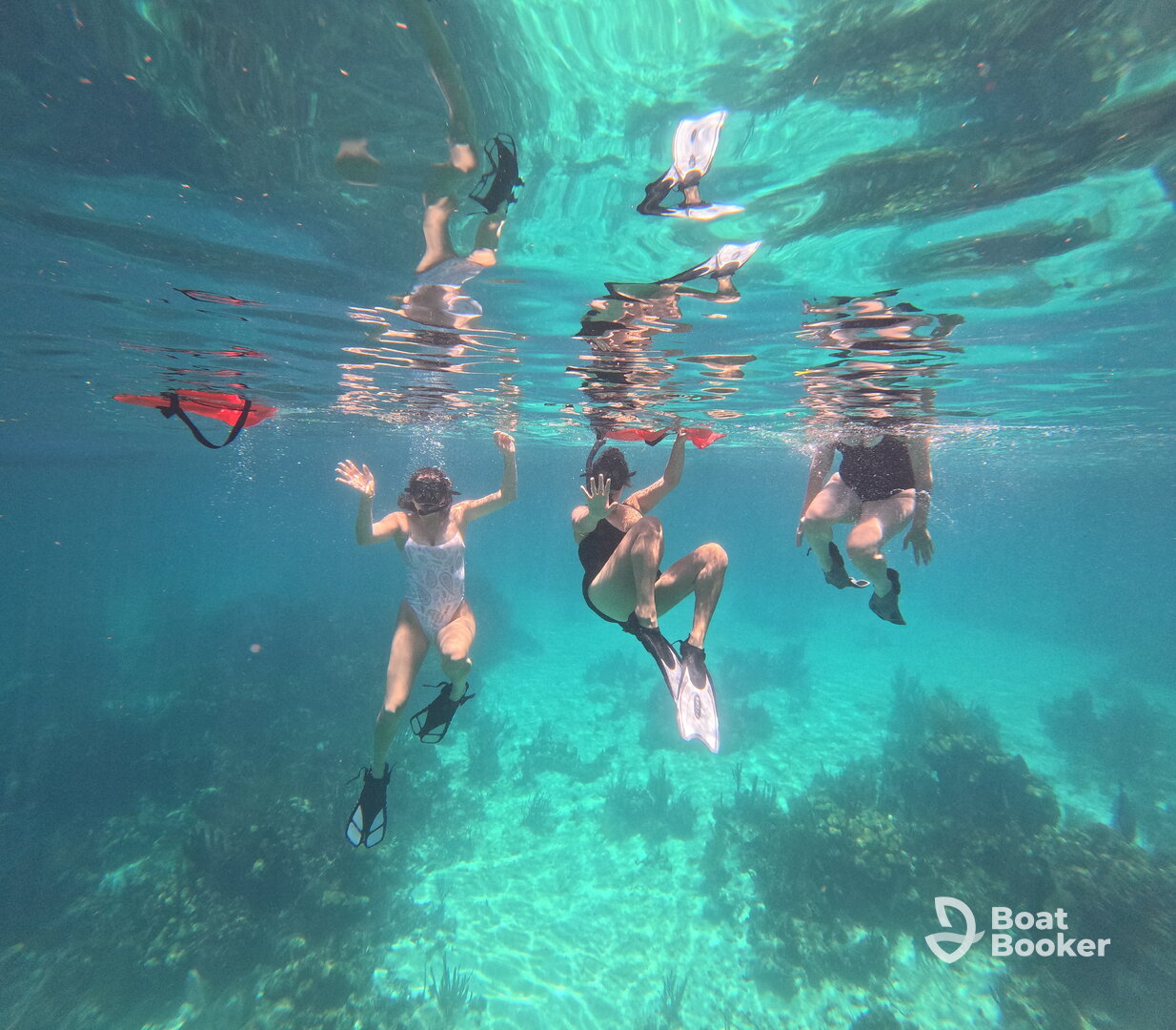 Julian Transfers & Tours – Hopkins Adventures