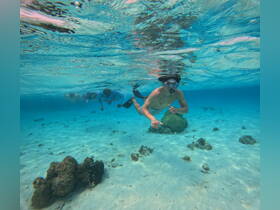 A group of snorkelers explores the vibrant underwater world, showcasing the beauty of marine life and coral formations in crystal-clear waters.