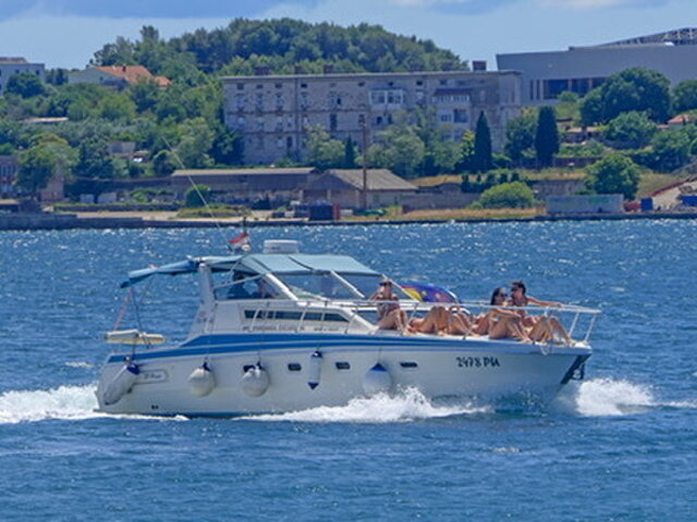 Listing image 1183672