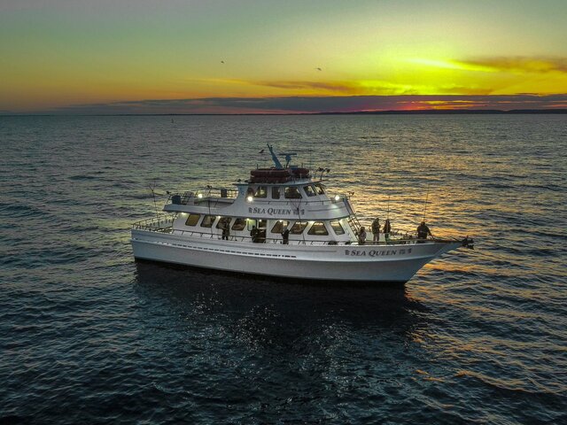 Listing image 1183780