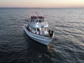 Charter Image