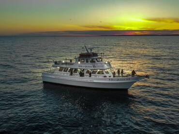 Sea Queen VII