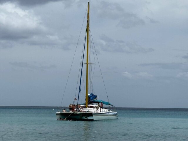 Listing image 1184039