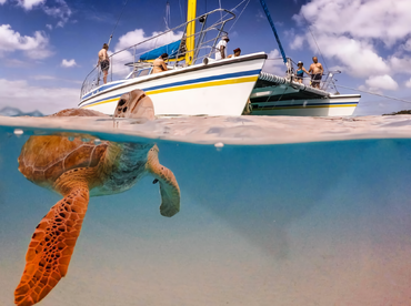 Wasn't Me Catamaran Cruises