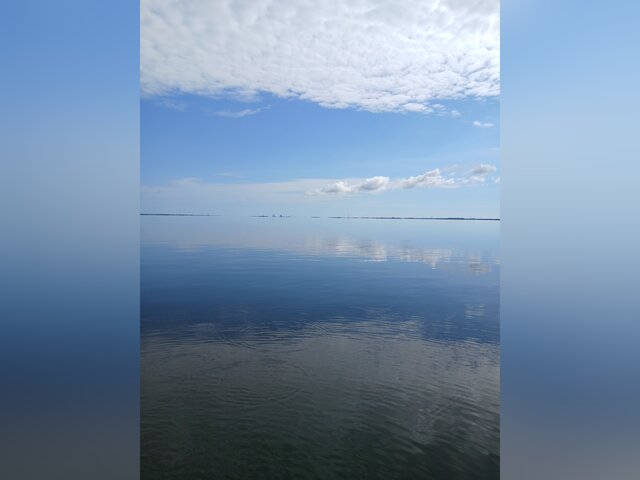 Listing image 1184048