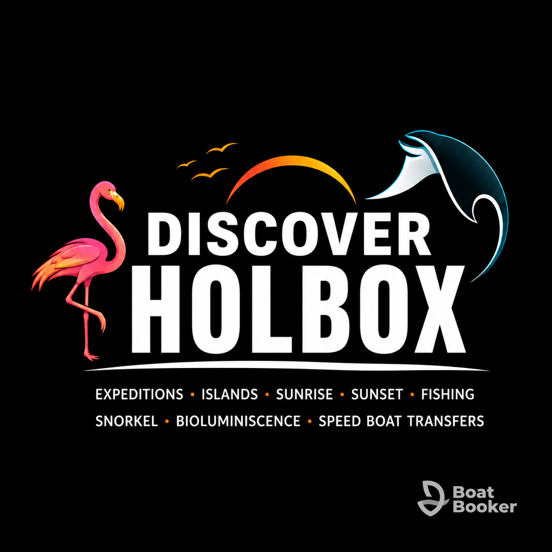Discover Holbox