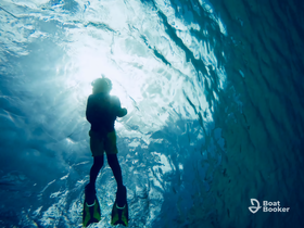 A snorkeler explores the vibrant underwater world, illuminated by sunlight filtering through the water's surface — a breathtaking moment for adventure seekers.