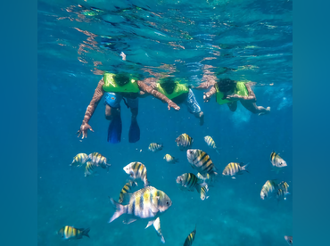 Caribe Ossi – Atomic Marine 43
