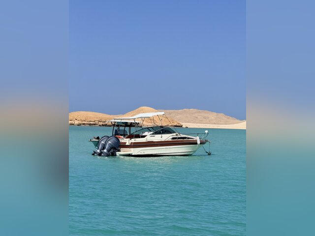 Listing image 1184594