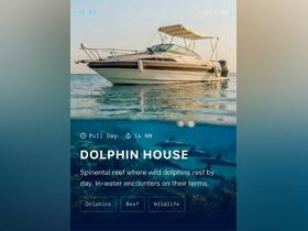 A serene view of a boat at Dolphin House, where wild dolphins can be encountered in their natural habitat — perfect for wildlife enthusiasts and marine adventures.