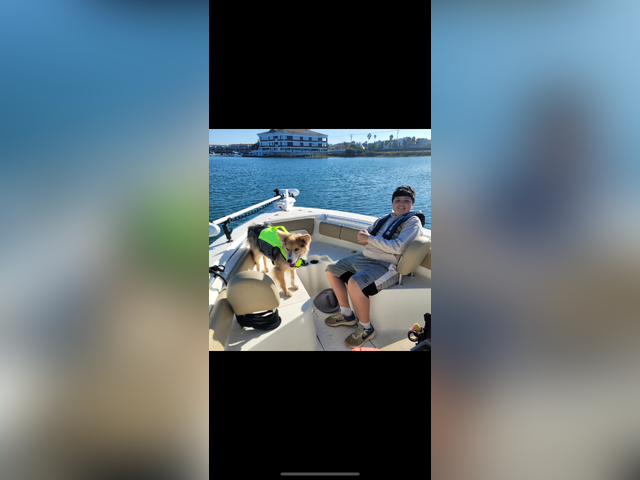 Listing image 1184634