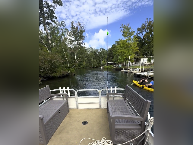 Listing image 1185287