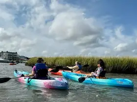A group of kayakers paddles through scenic waters, enjoying a day of adventure and exploration amidst lush greenery and a picturesque backdrop.