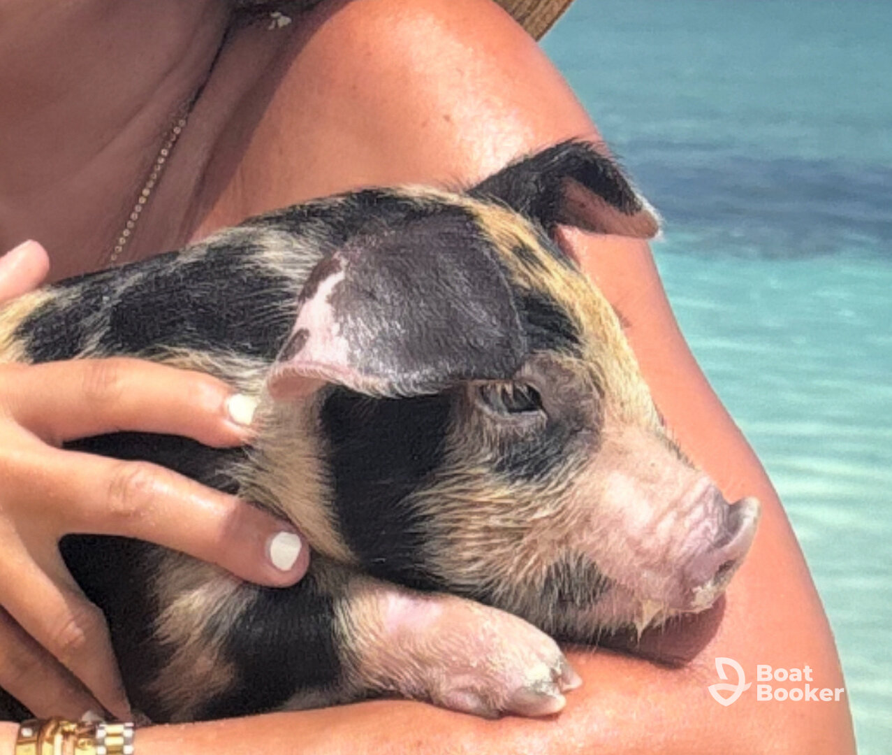 Bahamas Dream Tours & Charters