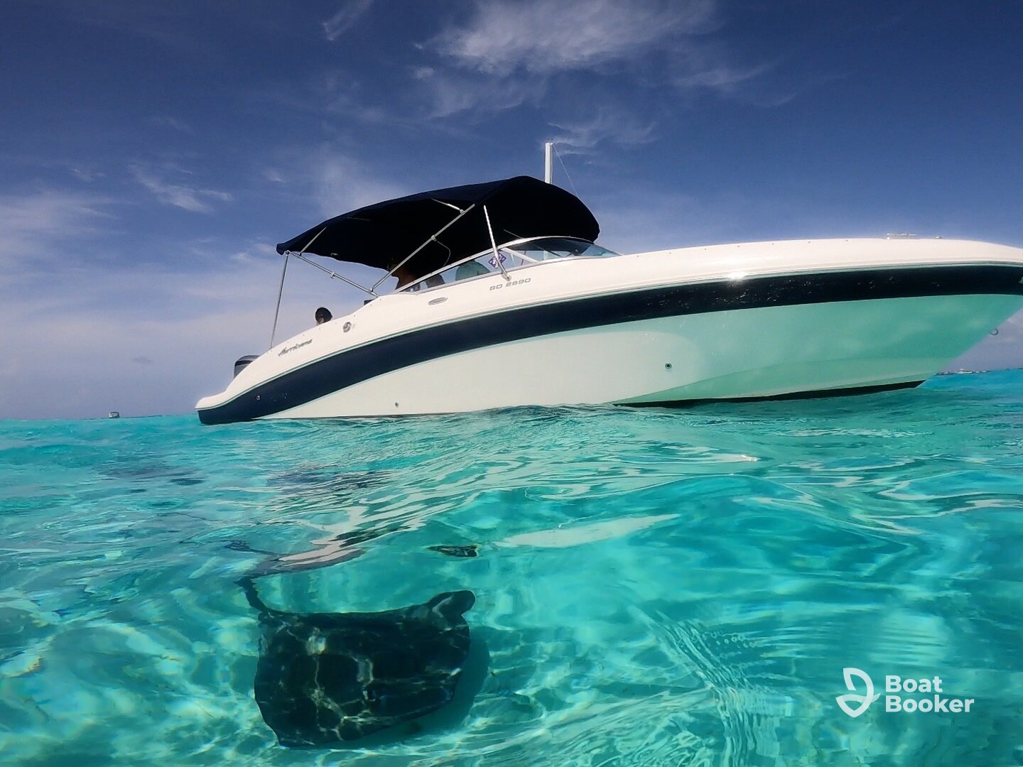 Green Flash Charters - Gallivantin