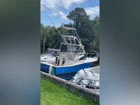 A striking fishing boat named 'Southern Comfort' docked along a serene waterway, showcasing its robust design and readiness for adventure.