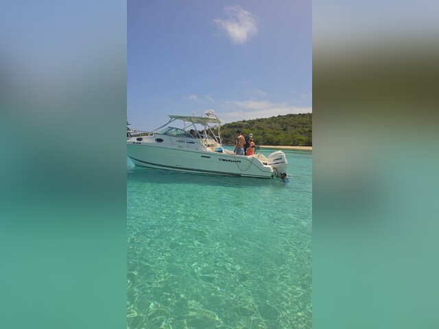 Listing image 1185421