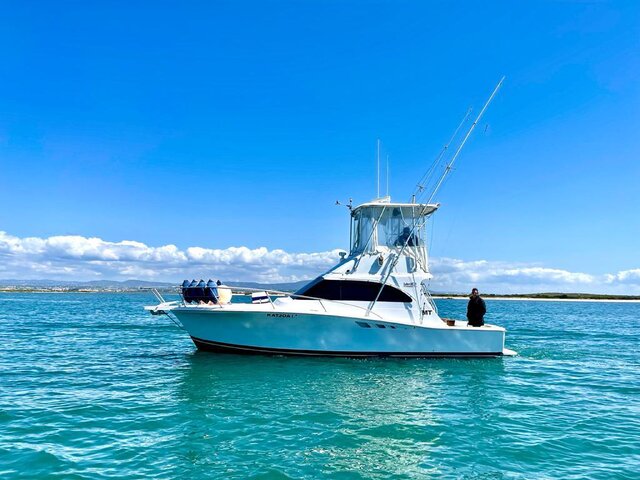 Listing image 1185691