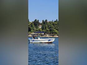 A small boat navigates through calm waters, showcasing a scenic backdrop of lush greenery and coastal homes — perfect for leisurely outings on the water.