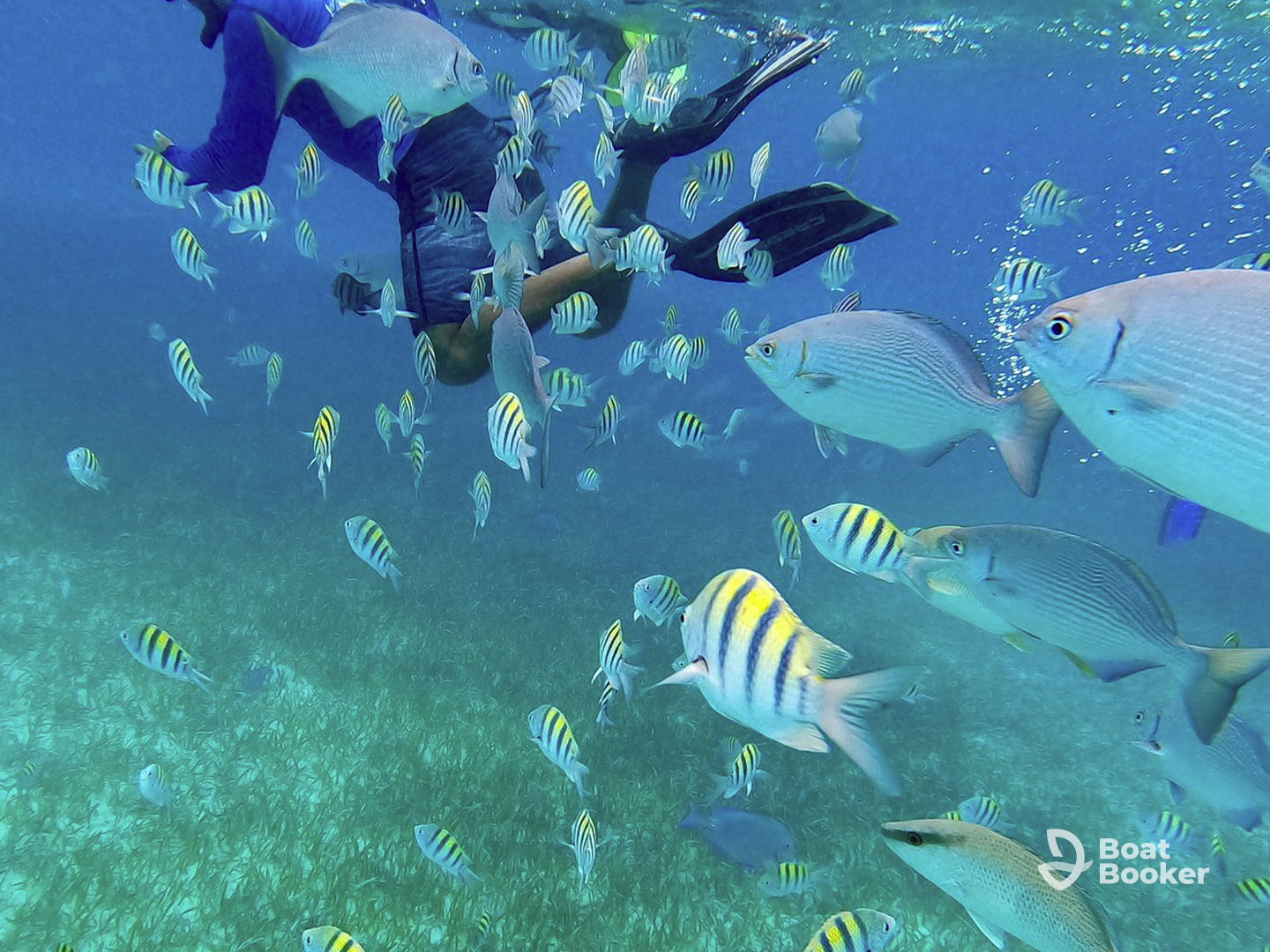 Belize Diving Adventures – Miss Ness