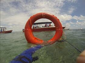 A vibrant scene of a snorkeling adventure with a group of people enjoying the water, framed by a life ring and boats in the background — perfect for water sports enthusiasts.