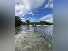 A person wades through shallow waters surrounded by mangroves, capturing the serene beauty of a tropical landscape — perfect for nature lovers and adventure seekers.