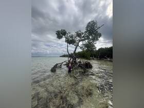 A family enjoys a scenic moment in shallow waters near a mangrove tree, creating lasting memories in a beautiful natural setting.