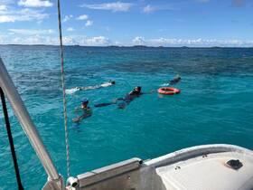 A group enjoys snorkeling in the crystal-clear waters, showcasing a fun and adventurous day on the water.