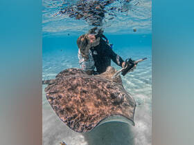 A couple shares a romantic kiss underwater while interacting with a stingray, showcasing a unique wildlife experience in crystal-clear waters.