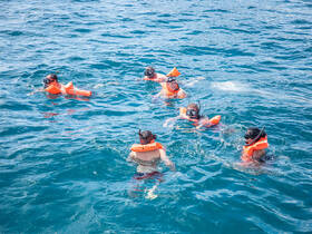 A group of snorkelers enjoys exploring the vibrant underwater world, showcasing the excitement of water activities in a beautiful ocean setting.