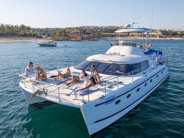 Listing image 1186628