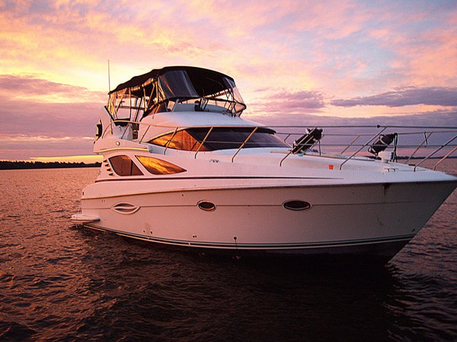 Listing image 1186650
