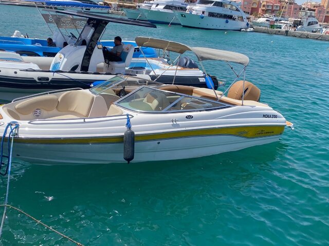 Listing image 1186782