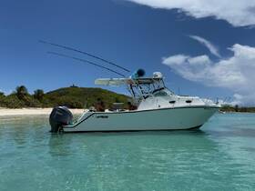 A fishing boat anchored in clear waters near a sandy beach, with a person onboard enjoying the serene surroundings — perfect for a day of fishing and relaxation.