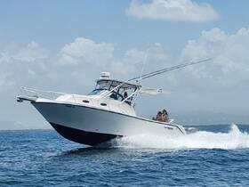 A couple enjoys a thrilling ride on a speedboat, cutting through the waves in a picturesque ocean setting — perfect for adventure seekers.